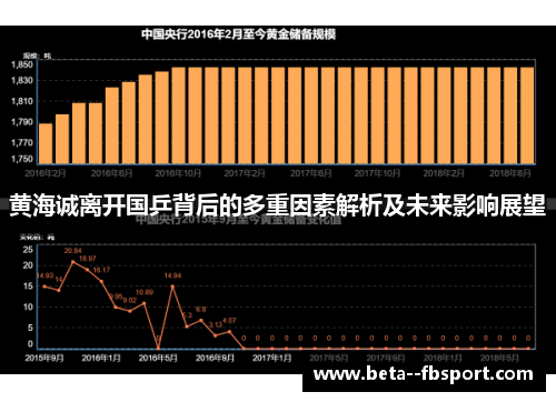 黄海诚离开国乒背后的多重因素解析及未来影响展望